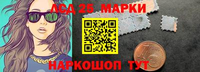гидропоника Камышлов