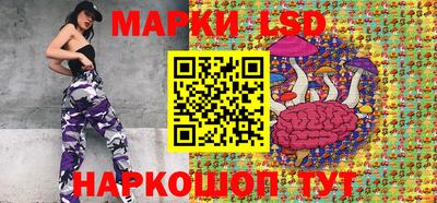 гидропоника Камышлов