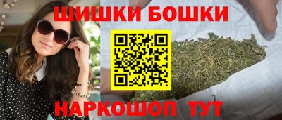 гидропоника Камышлов