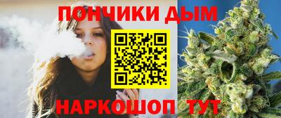 гидропоника Камышлов