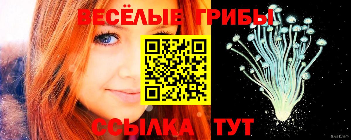 Псилоцибиновые грибы MAGIC MUSHROOMS Черкесск